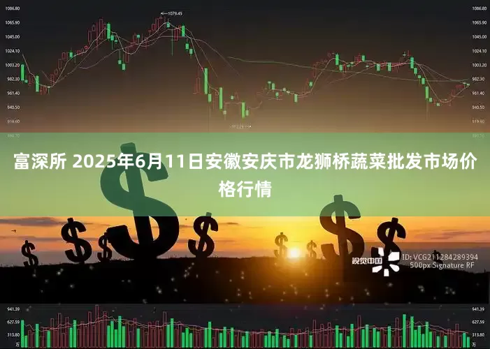 富深所 2025年6月11日安徽安庆市龙狮桥蔬菜批发市场价格行情
