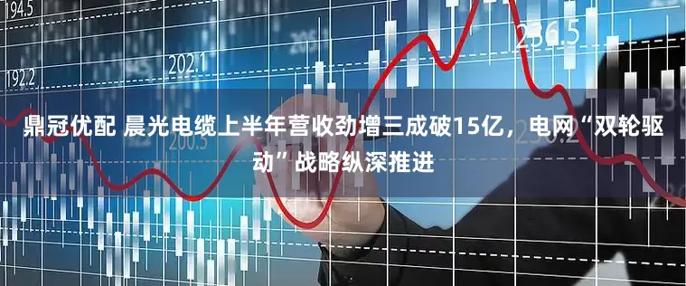 鼎冠优配 晨光电缆上半年营收劲增三成破15亿，电网“双轮驱动”战略纵深推进
